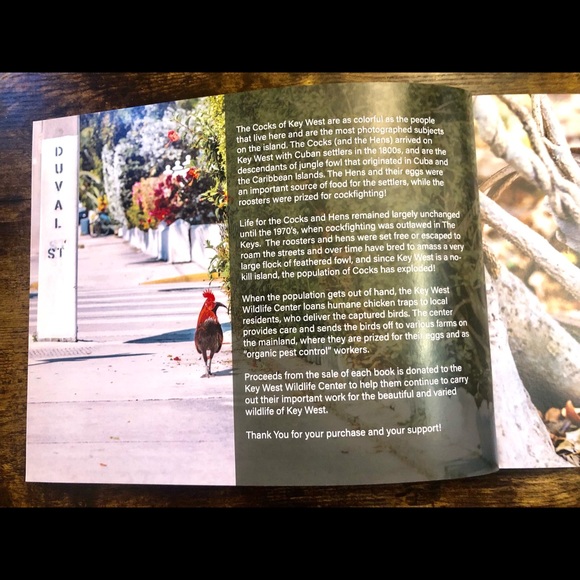 Cocks of Key West Coffee Table Book - Picture 3 of 16